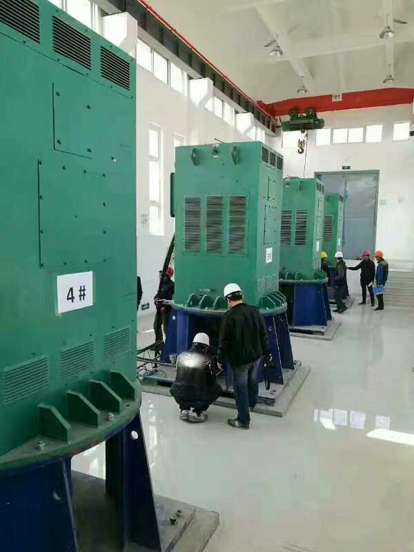 昌化镇某污水处理厂使用我厂的立式高压电机安装现场